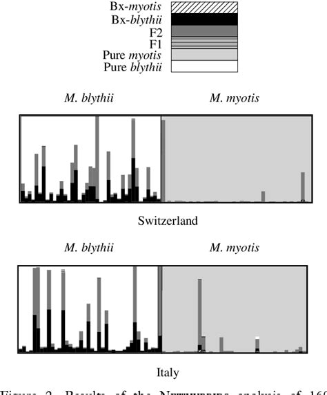 Myotis myotis | Semantic Scholar