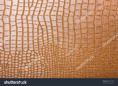 High Resolution Texture Background Skin Stock Illustration 55831369 ...