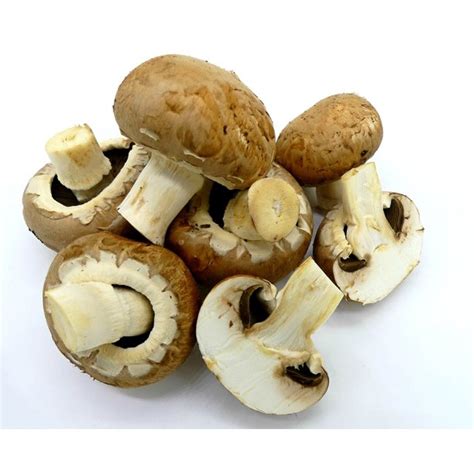 Mushrooms Edible Eat Brown Mushrooms Food Pleasure-12 Inch BY 18 Inch Laminated Poster With ...