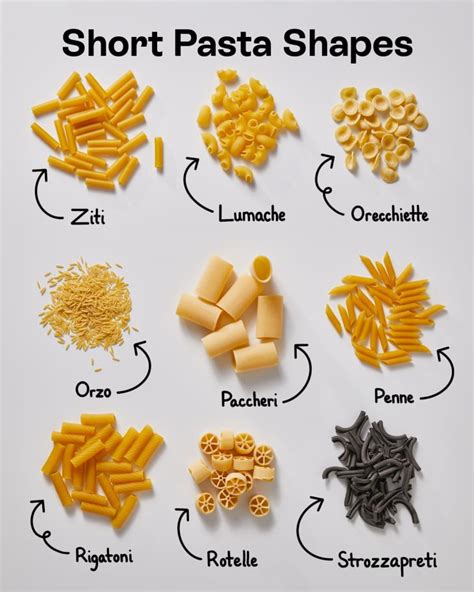 35 Popular Pasta Shapes — Plus the Best Sauce to Serve with Each (Visual Guide) | The Kitchn