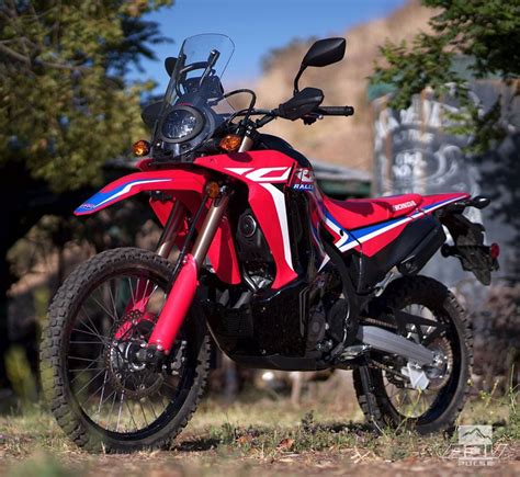 honda crf 300l rally for sale - sharyn-ours