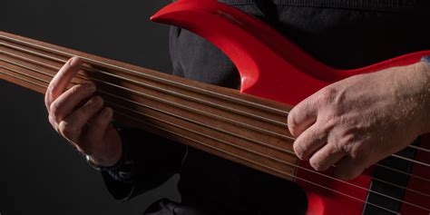 What Is a Fretless Guitar and How To Play It - Learn to Play an Instrument with step-by-step ...