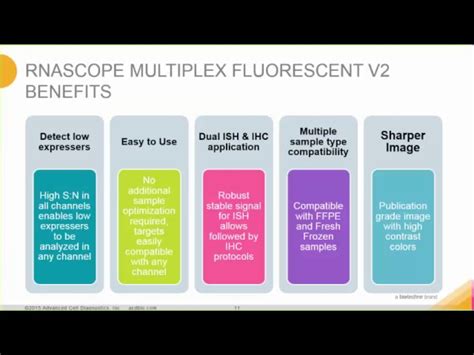 RNAscope Multiplex Fluorescent V2 Assay In Situ, 41% OFF