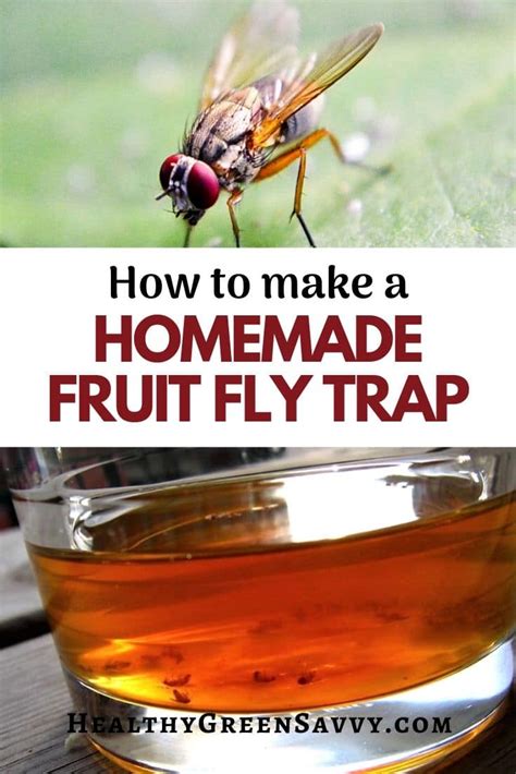 Homemade Fruit Fly Trap with Apple Cider Vinegar to Get Rid of Fruit Flies