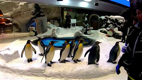 Ski Dubai Encounter with the Penguins - Ski Dubai Snow Park Mall of the Emirates,Rides,Tickets ...