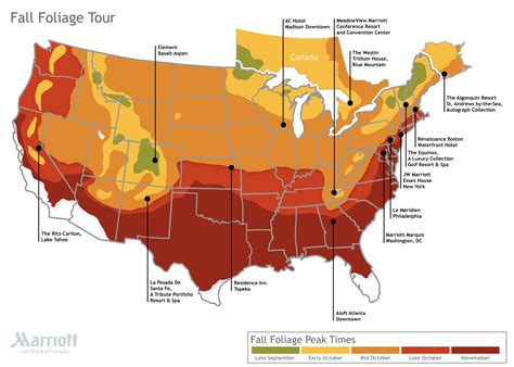 Usa Fall Foliage Map 2024 - Lari Karlene