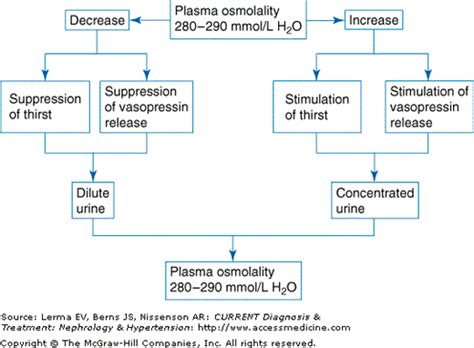 Normal Serum Osmolality