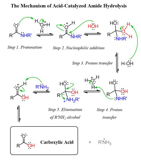 amide to carboxylic acid hydrolysis