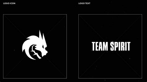 Teamspirit logo - academyhooli