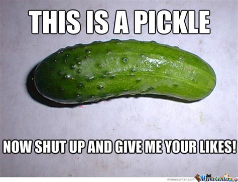 Funny Pickle Quotes. QuotesGram