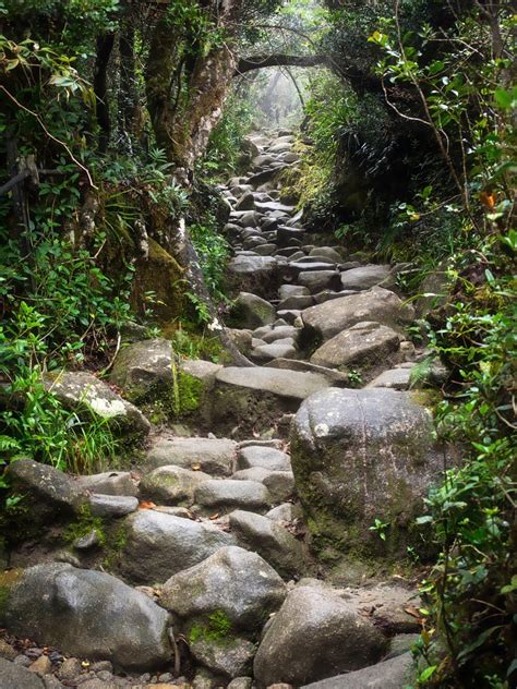 Mount Kinabalu Trail Map | Wildlife Tours - Outback Venture Sdn Bhd