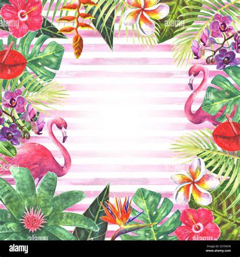 Paradise background. Pink flamingo birds exotic tropical jungle rain ...