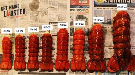 Find the Best 6 oz Lobster Tail Price - From $10.55/Tail