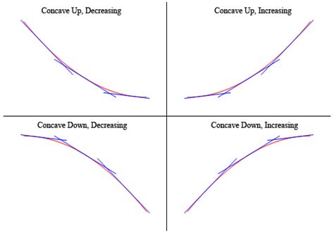 Describe the Shape of the Graph