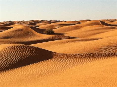 Sahara Desert (Tunisia, Africa): Address, Reviews - TripAdvisor