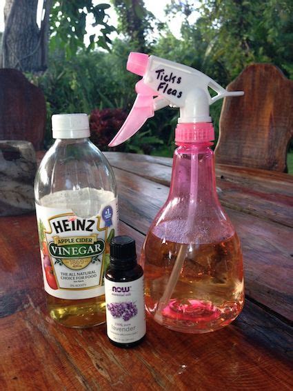 homemade flea spray - Google Search | Homemade flea spray, Flea spray, Heinz apple cider vinegar