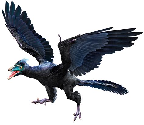 Archaeopteryx | Dinosaur Wiki | FANDOM powered by Wikia