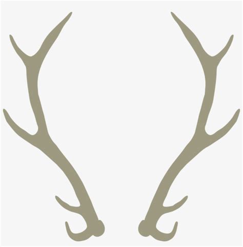 Elk Antler Vector at Vectorified.com | Collection of Elk Antler Vector ...