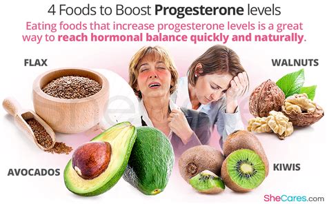 4 Foods to Boost Progesterone Levels | SheCares