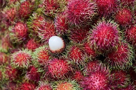 Rambutan vs Lychee: Explaining The Difference Between 2 Exotic Fruits