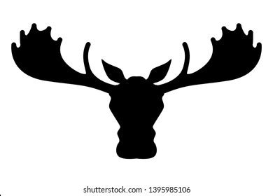 Moose head Royalty Free HD Stock Photo and Image