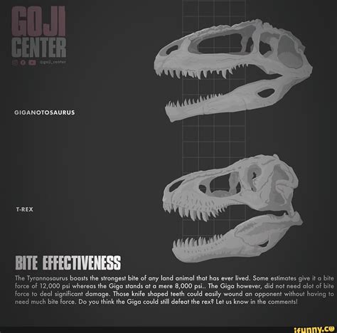 GIGANOTOSAURUS T-REX BITE EFFEGTIVENESS The Tyrannosaurus boasts the strongest bite of any land ...