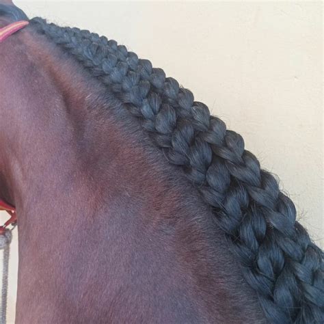 Double Running Braids Equine Tutorial – The Cheshire Horse