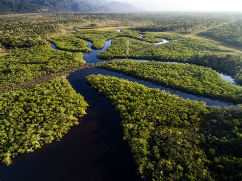 Amazon basin threatened by hydroelectric dams - Earth.com