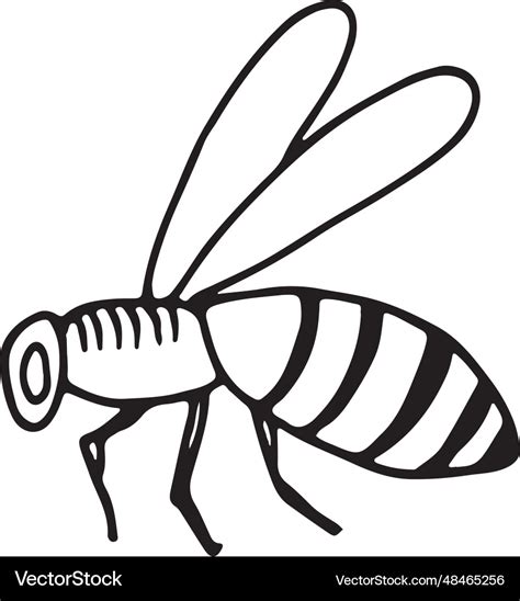 Honey bee drawing beehive flying insect doodle Vector Image