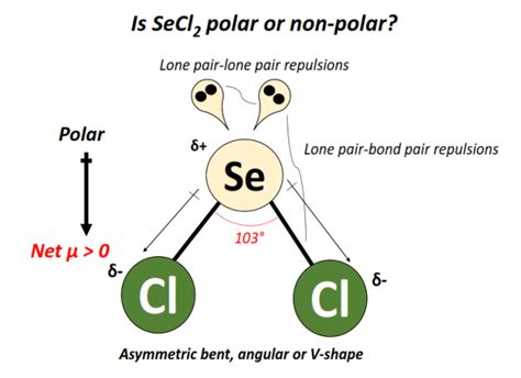 Secl2 Molecular Geometry