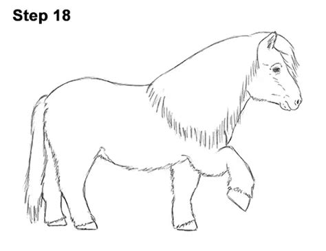 Shetland Pony Drawing Sketch Coloring Page