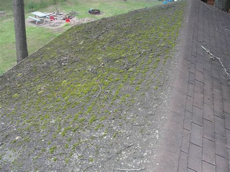 Zinc Strips on Mossy Roof, Four Years Later | HomesMSP | Real Estate Minneapolis