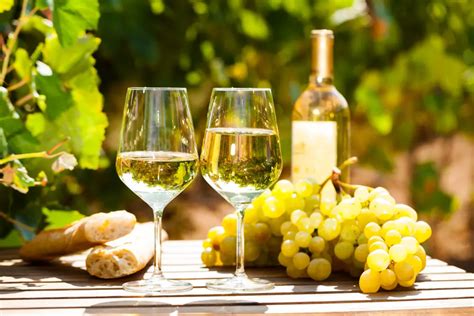 10 Popular White Wine Grape Varieties From All Over the World - Taste Ohio Wines (2022)