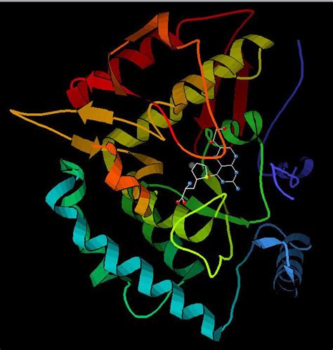 Phenylalanine hydroxylase - Alchetron, the free social encyclopedia