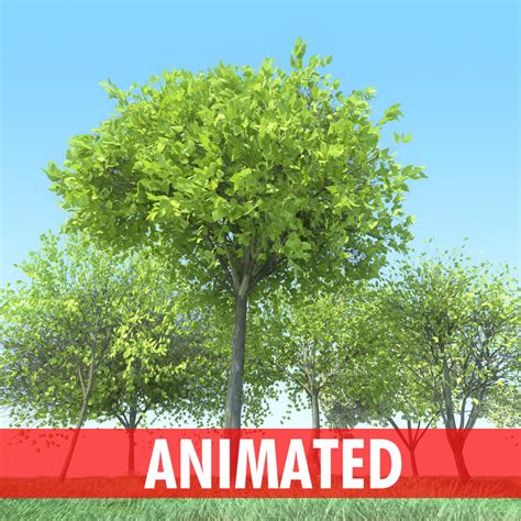 3d tree animation studio model