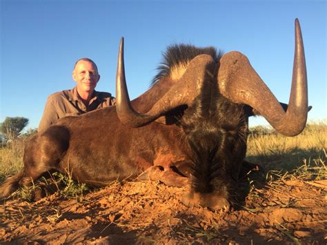 SOUTH AFRICA: Lion Hunt Plus | AfricaHunting.com