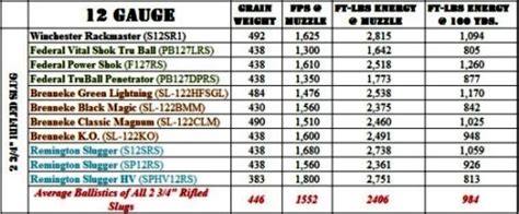 Shotgun Slugs: 20 Gauge vs. 12 Gauge - Part 2