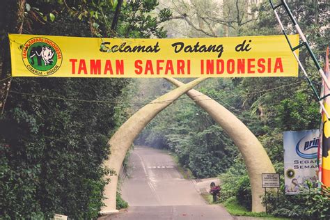 TheTravelingTeacher: Taman Safari | Bogor | Indonesia