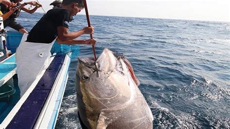 Amazing Fastest Giant Bluefin Tuna Fishing Skill - Catching and Processing Hundreds Tons of Tuna ...