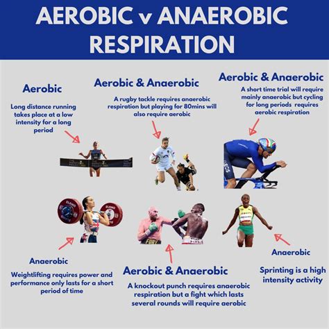 Anaerobic Respiration Examples