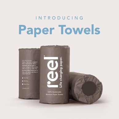 The Best Eco-Friendly Paper Towels - Earth Friendly Tips