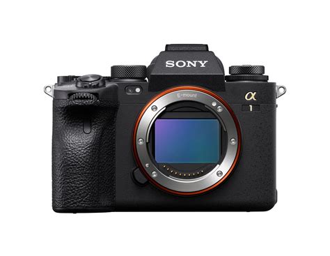 New Sony Alpha Camera 2024 - Maddi Christean