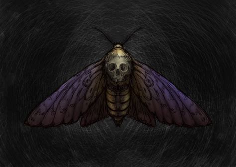 ArtStation - Death's Head Moth