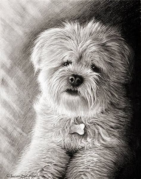 Design Stack: A Blog about Art, Design and Architecture: Hyper Realistic Pencil Drawings of Dogs