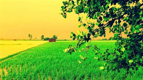 Punjab Di Shaan - Beautiful Simple Pakistani Village Life HD Photos 2014 - Karamat Adeel