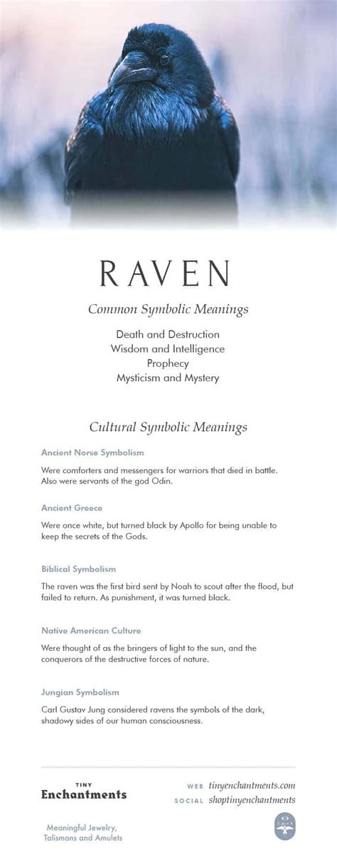 Biblical Meaning Of Raven In A Dream - DREAMAIP