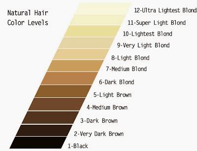 The Level System of Hair Color Does NOT Work (but Rarely ...