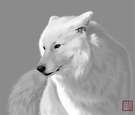 White Wolf by Uchiha-Harumi on DeviantArt