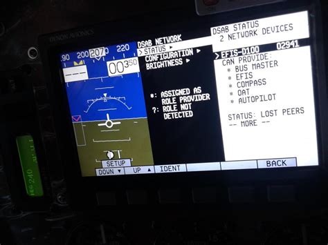 Dynon D100 & D120 DSAB Lost Peers - General Avionics - CT Flier Forum