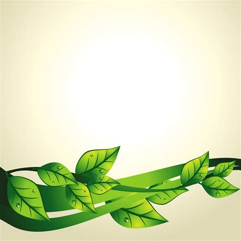 vector green leaf 219514 Vector Art at Vecteezy